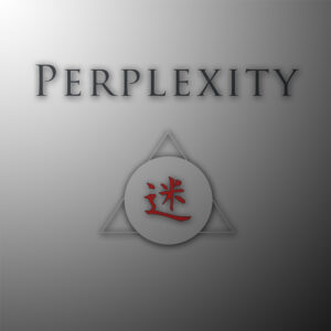 perplexity-cover2